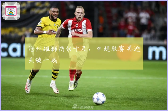 沧州雄狮拼劲十足,中超联赛再迎关键一战